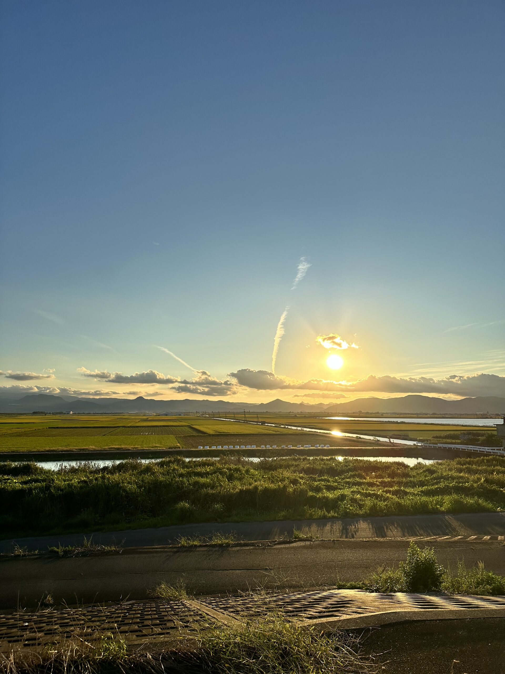 AIで本当に稼げるのか？未経験が30日間ガチ検証してみる